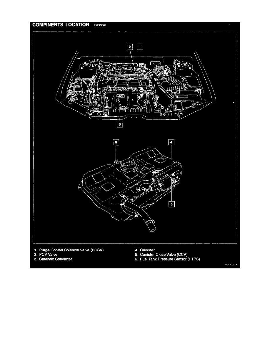 Kia Service and Repair Manuals > Spectra L42.0L (2004) > Powertrain Management