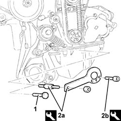 Toothed timing drive belt - R.R. with engine removed