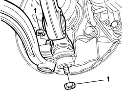 Lower front track control ARMS R.R.