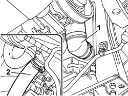 LOWER radaitor coolant outlet HOSE - R.R.