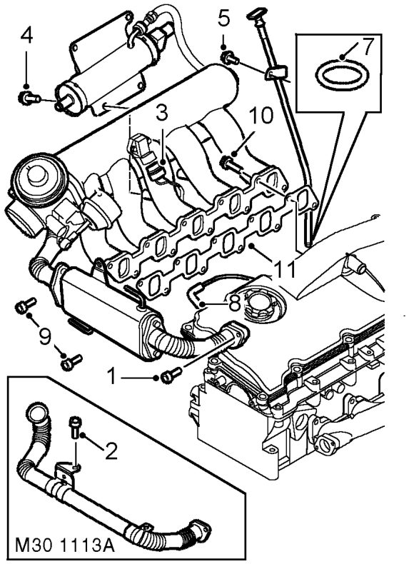 Disassembly – Note: The following procedures cover engines fitted with or without an EGR cooler. The EGR