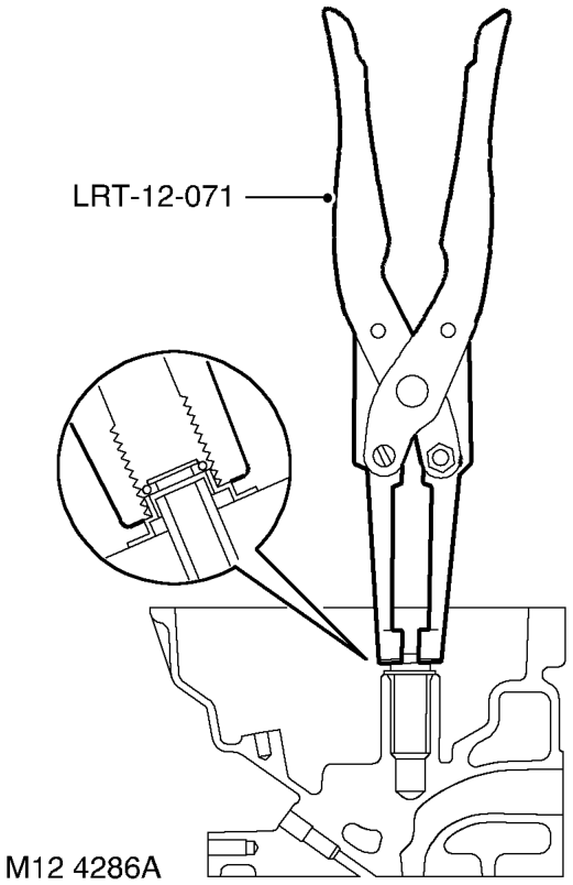 Reassembly – Lubricate new valve stem oil seals with engine oil.