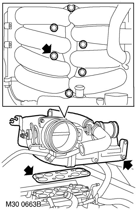 Release and disconnect IACV hose.