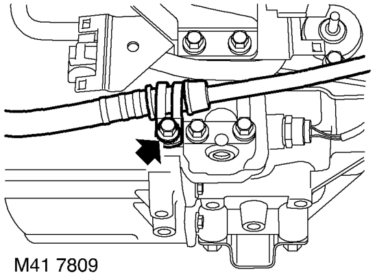 Oil seal - input shaft