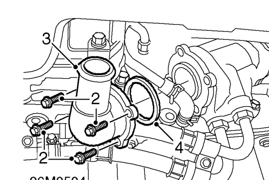 Thermostat – Drain cooling system. See Adjustments.