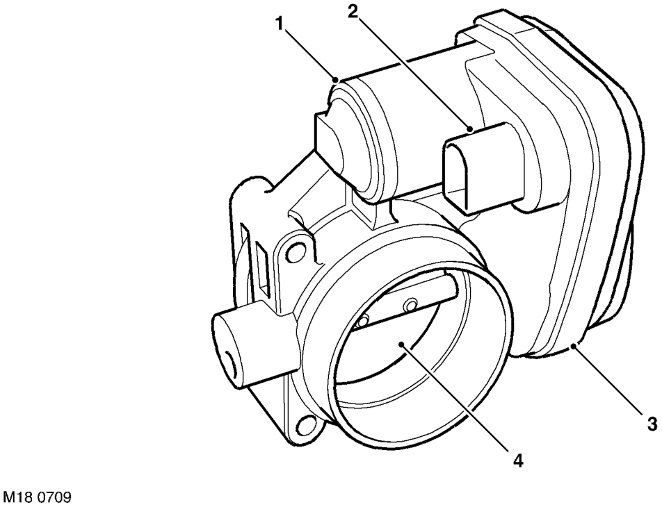 Electric throttle – To enable closed loop control, the position of the throttle plate is supplied to the ECM b