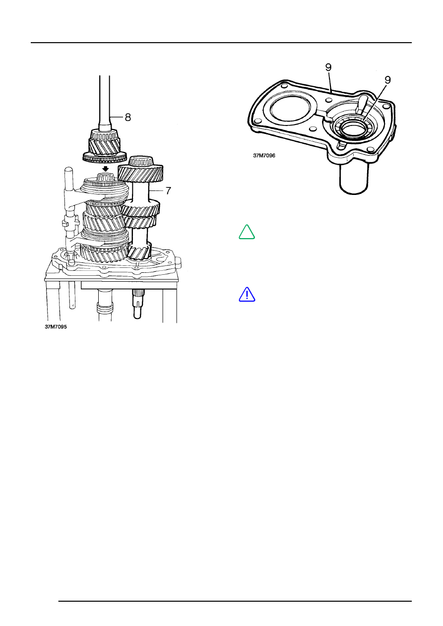 MANUAL GEARBOX > OVERHAUL > Assembling output shaft and layshaft to centre  plate > Page 87