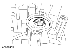 Step 30: Remove the thermostat.