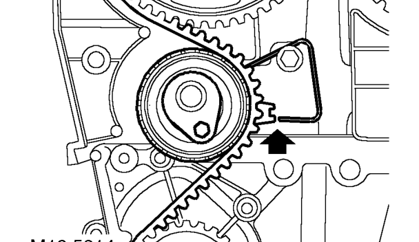 Remove and discard timing belt tensioner bolt.
