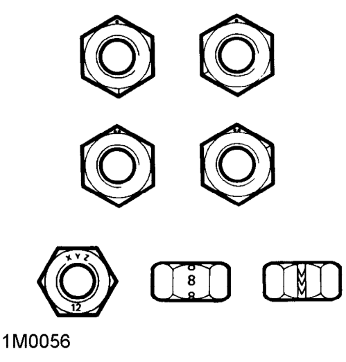 Nut identification