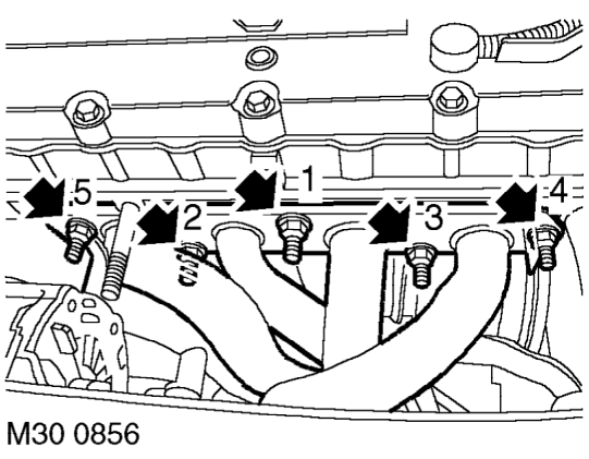 Connect hoses to coolant elbow on cylinder head and tighten clips.