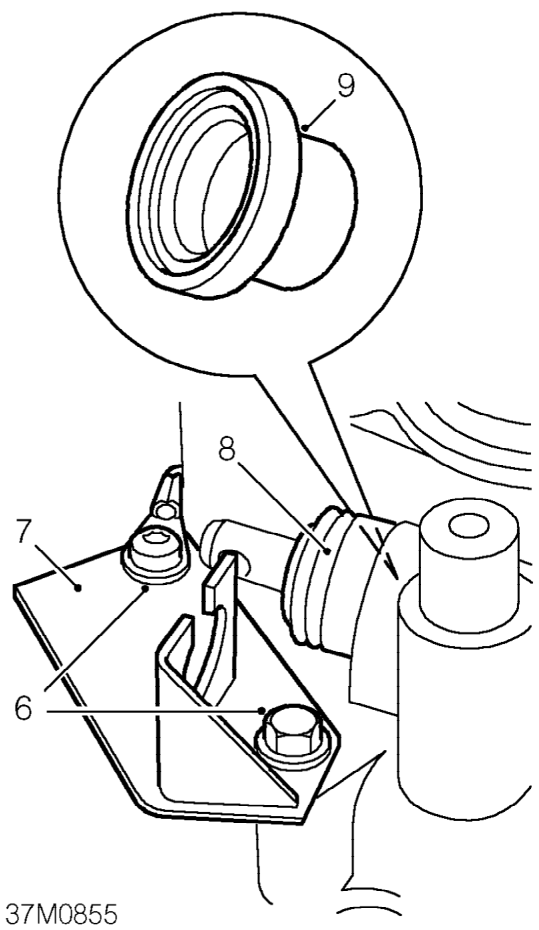 Remove selector linkage from shaft.