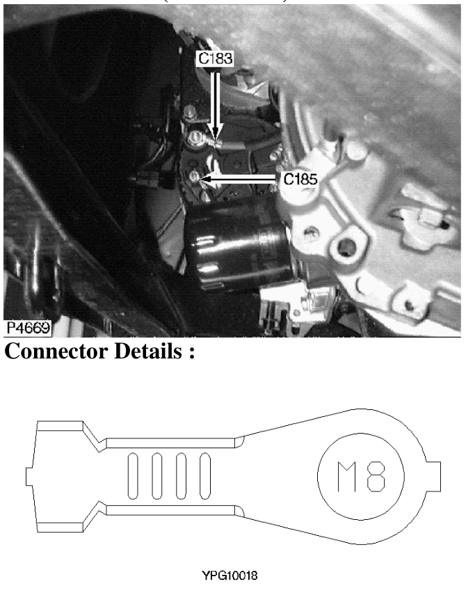 Description : Alternator Location : Front RH side of engine Colour : Brass Gender : Eyelet