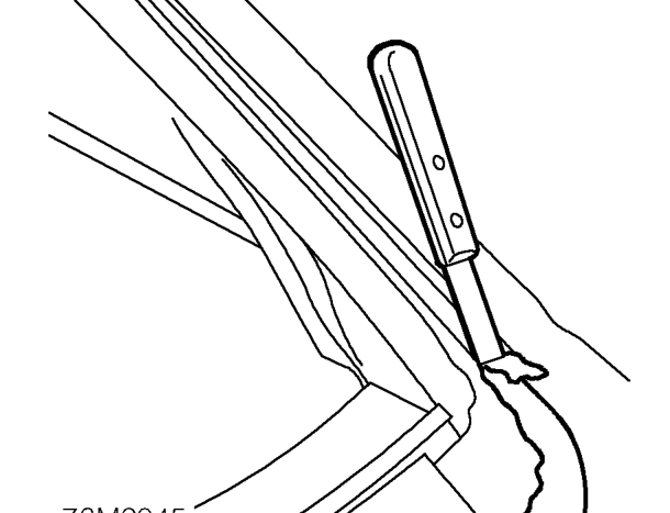 Attach suction cups to screen and use assistance to remove glass from body.