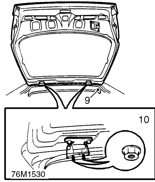 Support the taildoor and release support struts from taildoor.