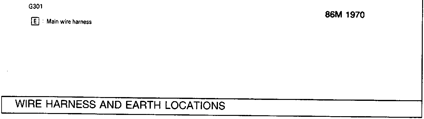 Main wire harness diagram labeled G301.