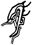 Close-up diagram of clip A on outer moulding