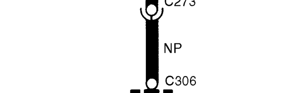 Components – B. Connector plugs directly into component.