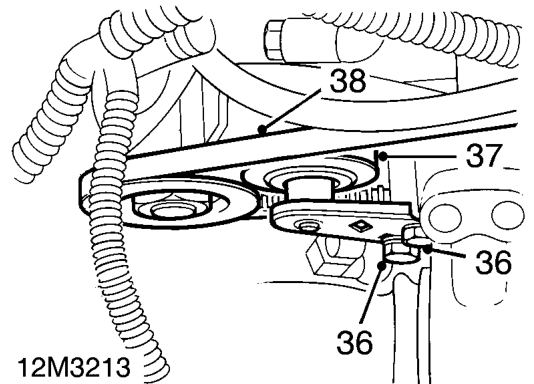 Remove tensioner assembly.