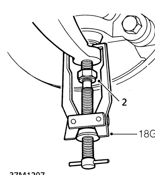 Lh differential oil seal – Drain gearbox oil. See Adjustments.