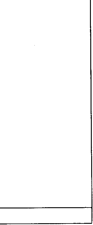 Blank page with faint dot and vertical line artifacts