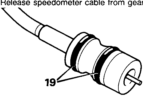 Diagram showing speedometer cable end with 'O' rings, with callout number 19