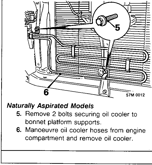 Diagram showing oil cooler mounting bolts and hoses with callout numbers 5 and 6