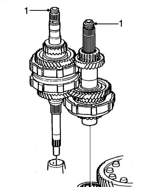 Input and output shafts