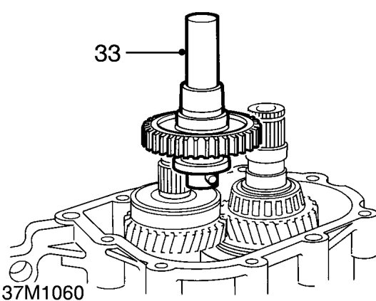 Remove output shaft rear bearing cup from support plate.