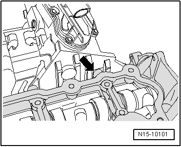N15-10101