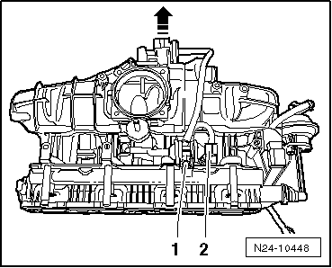 N24-10448