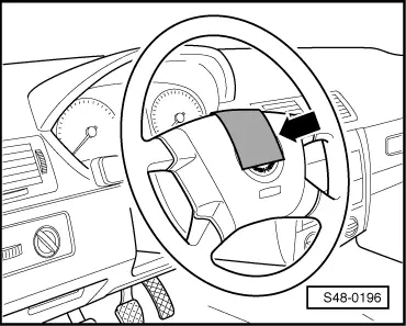 S48-0196