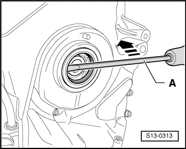 S13-0313