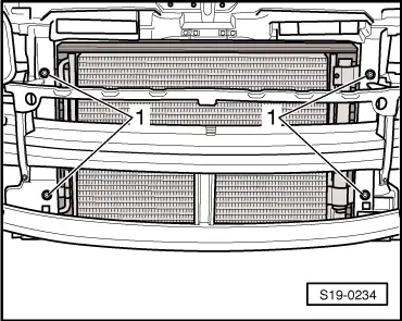 S19-0234