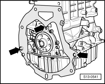 S13-0541