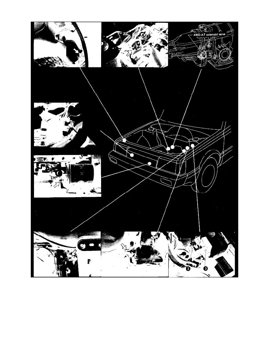 Manual