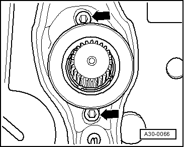 A30-0066