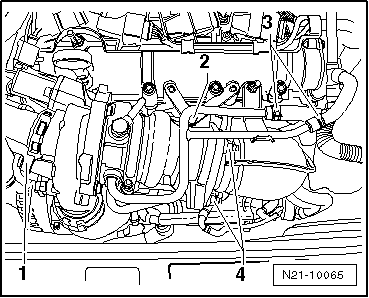 N21-10065
