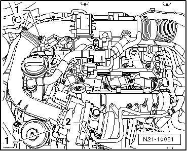 N21-10081