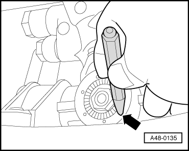A48-0135