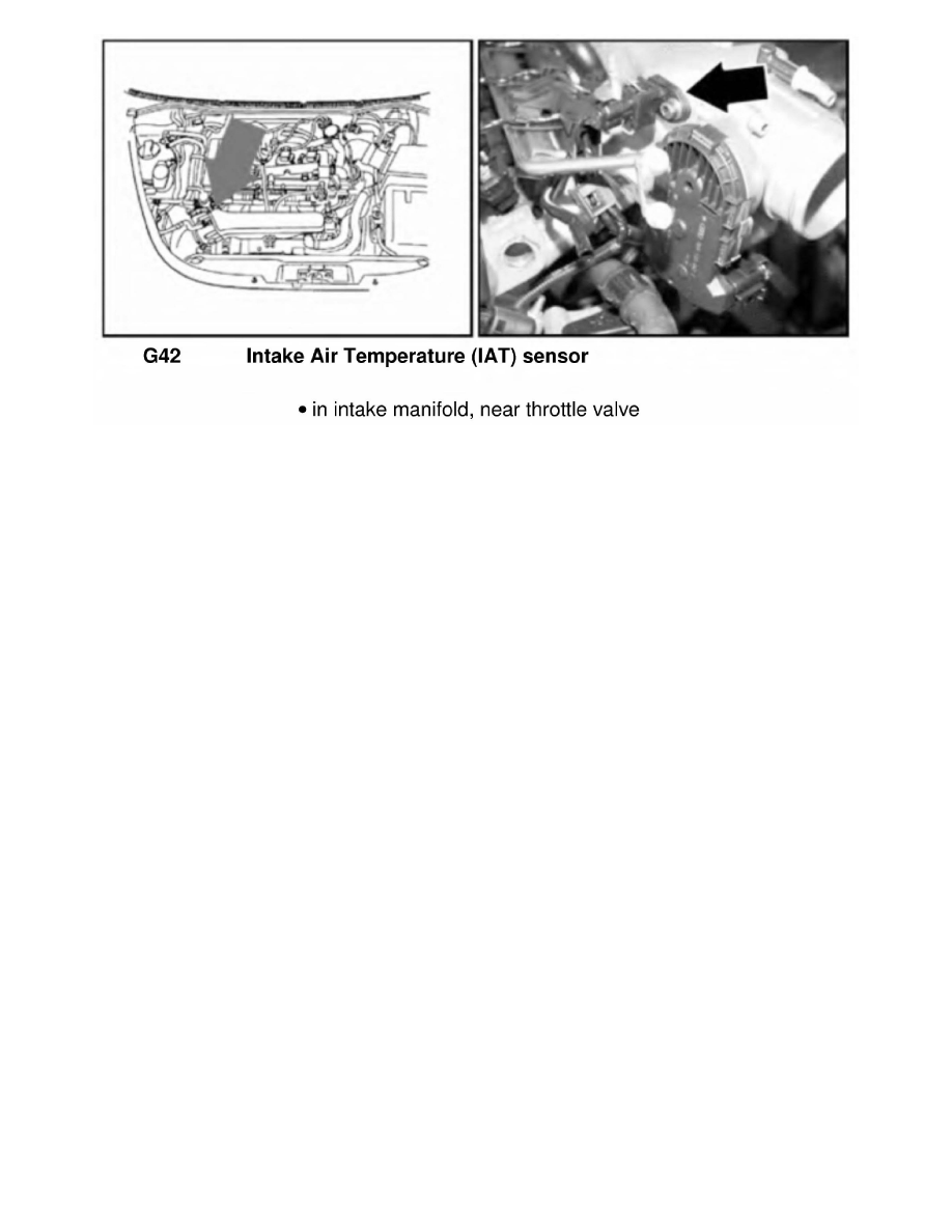 Volkswagen Service and Repair Manuals > New Beetle L42.0L