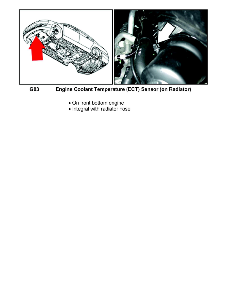 Volkswagen Service and Repair Manuals > Passat V63.6L (BLV