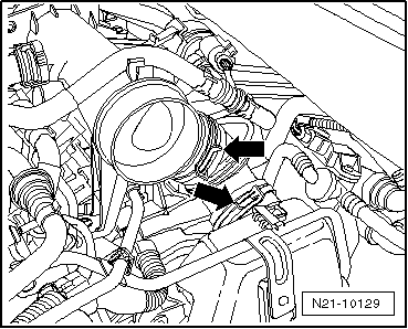 N21-10129