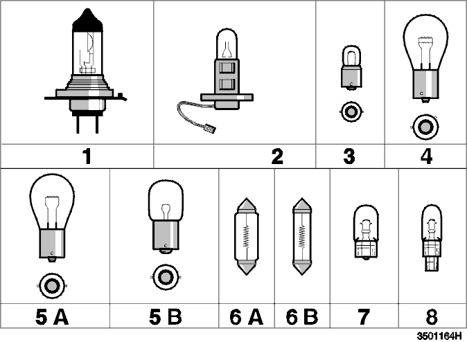 Bulbs