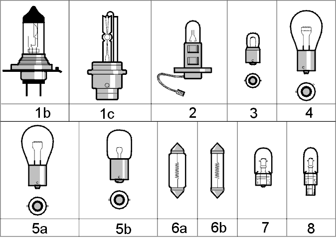 Bulbs