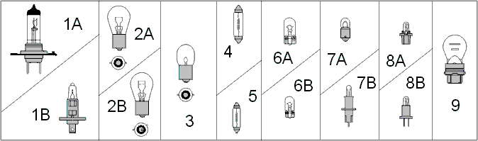 Bulbs