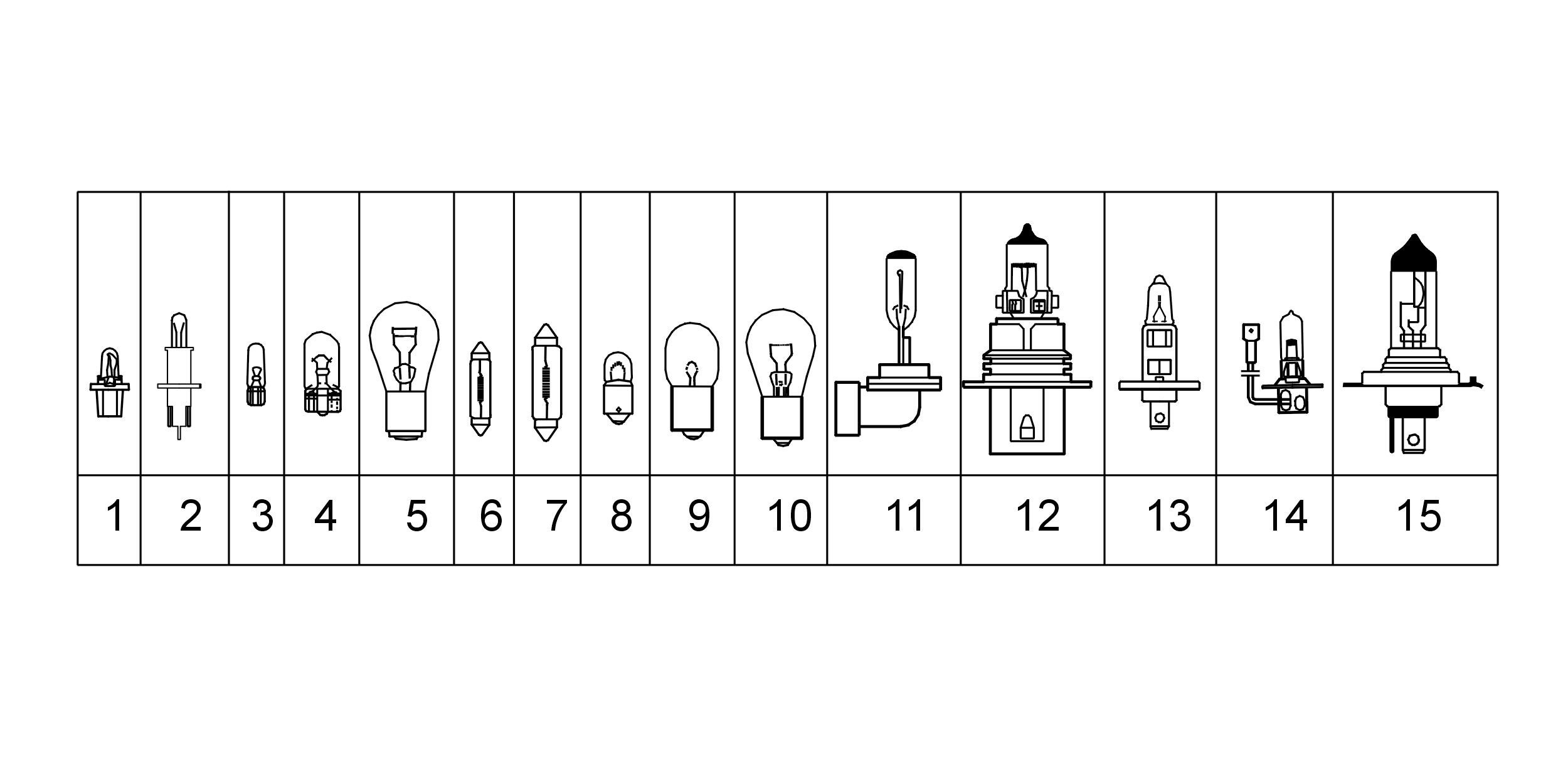 Bulbs