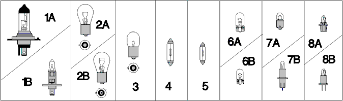 Bulbs